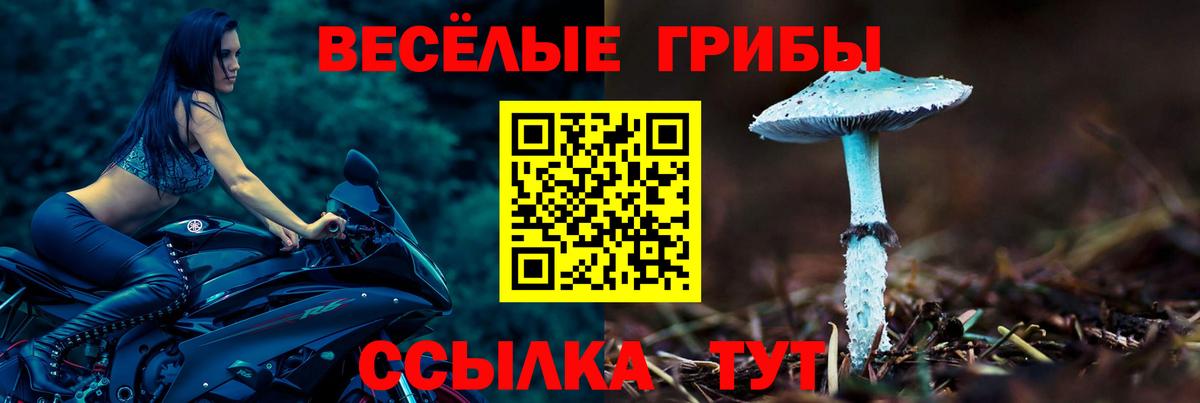 Галлюциногенные грибы мицелий  Вход с VPN  Галлюциногенные грибы прущие грибы  Обь 